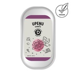 Upeņu sorbets 2l/950g